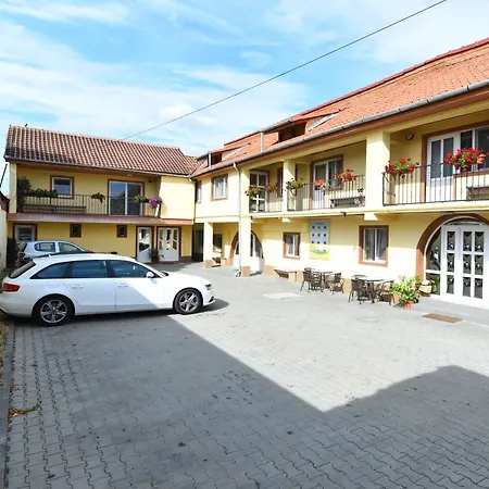 Guest house Pensiunea Mama Lia