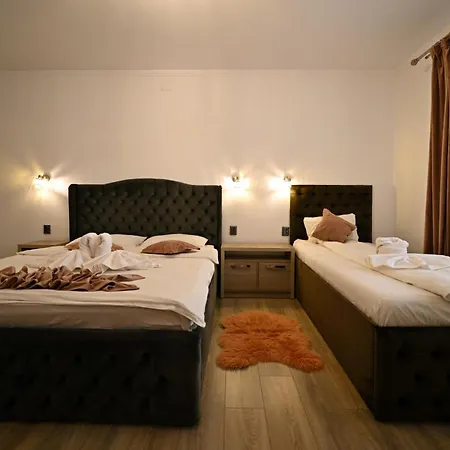 Pensiunea Mama Lia Guest house Hateg