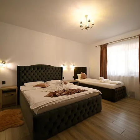Pensiunea Mama Lia Guest house Hateg